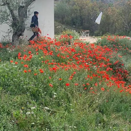 Casa Meriditta Πανσιόν Ofena